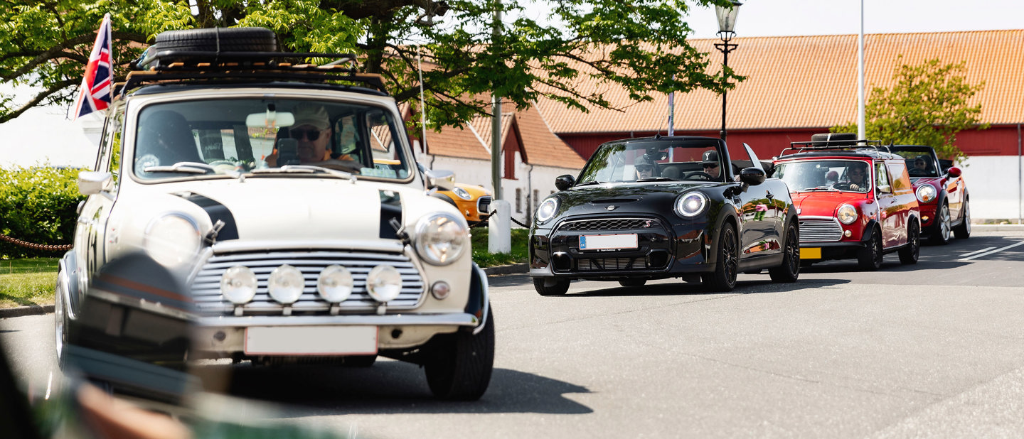 En række klassiske og moderne Mini Cooper-biler kører ned ad en solrig gade med træer og bygninger i baggrunden.