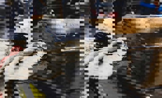 Originale BMW Motorrad oliefiltre