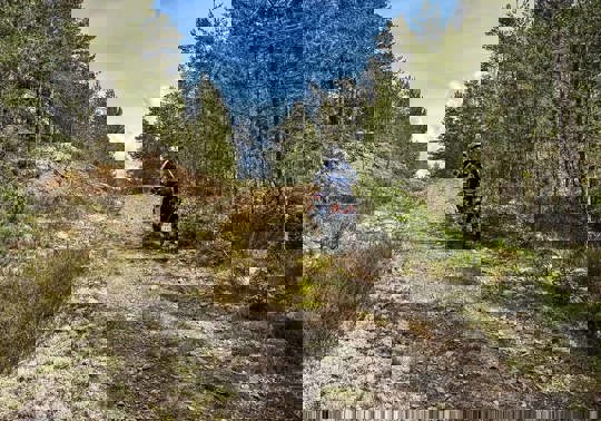 En person kører på motorcykel på en skovsti omgivet af høje træer under en blå himmel.