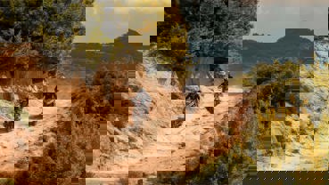 40 år med pionerånd