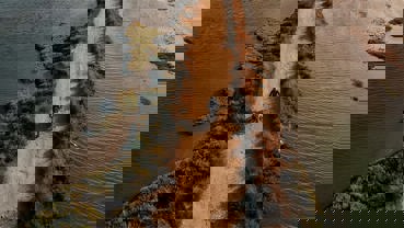 Klar til at udforske verden?